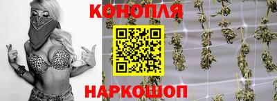 гидра Волгодонск