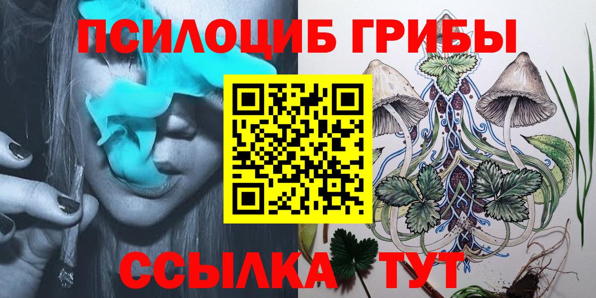 Псилоцибиновые грибы Cubensis  Вход с VPN  Краснокаменск 