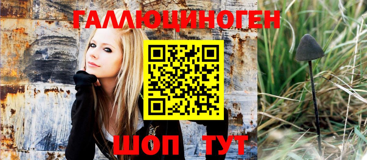 Псилоцибиновые грибы Magic Shrooms  Краснокаменск 