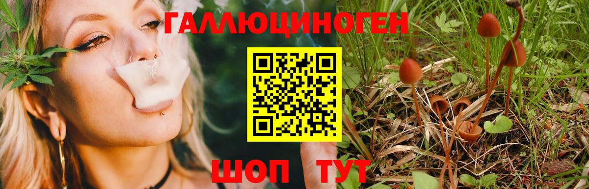 Псилоцибиновые грибы ЛСД Краснокаменск